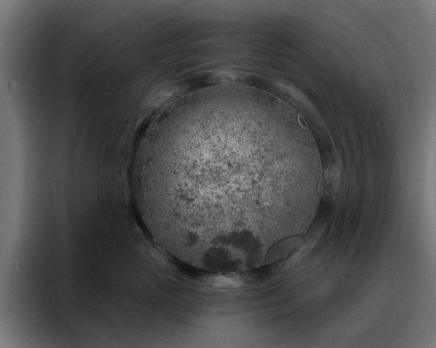 X0000088180765200705221642