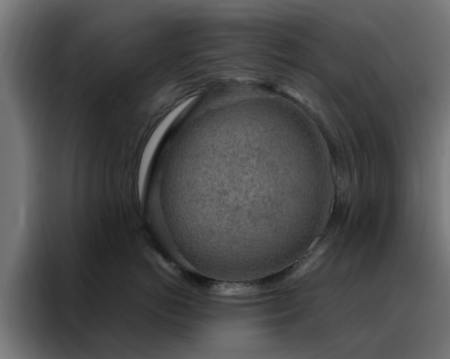 X0000088180766200705221642