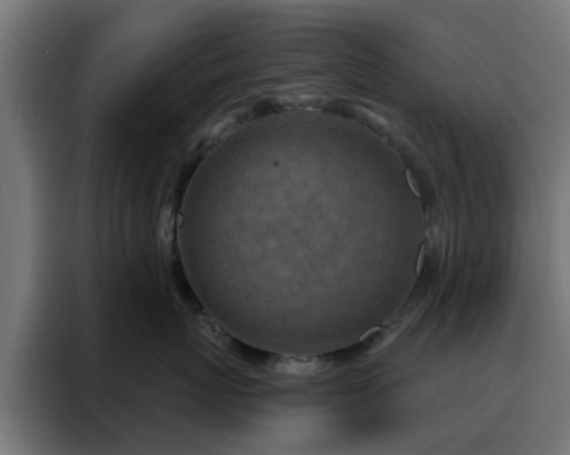 X0000088180767200705221642