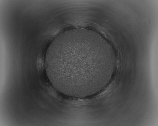 X0000088180772200705221641