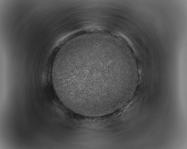 X0000088180775200705221641