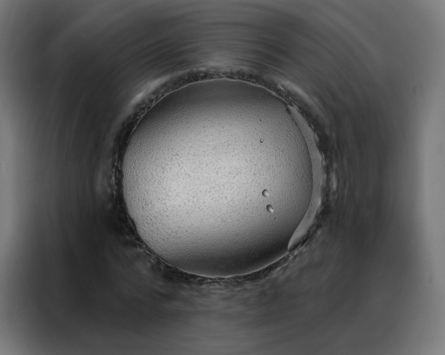 X0000088180776200705221641