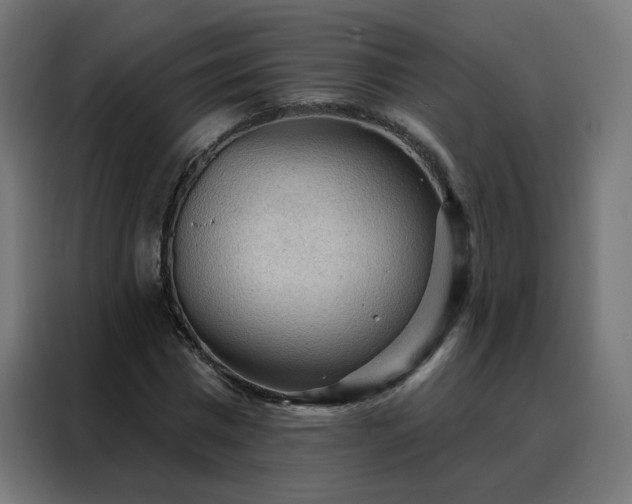 X0000088180777200705221641