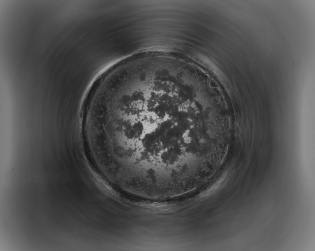 X0000088180779200705221641