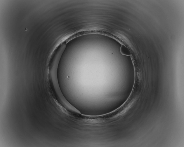 X0000088180781200705221641