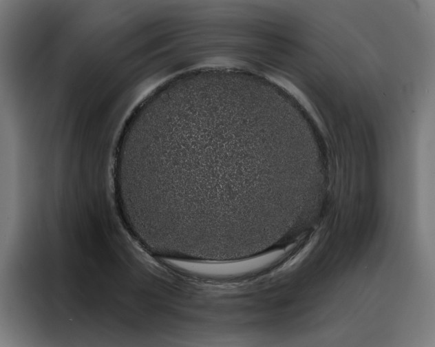 X0000088180783200705221641