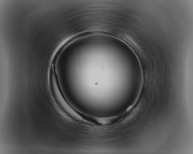 X0000088180788200705221641
