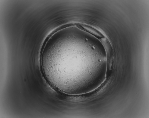X0000088180791200705221641
