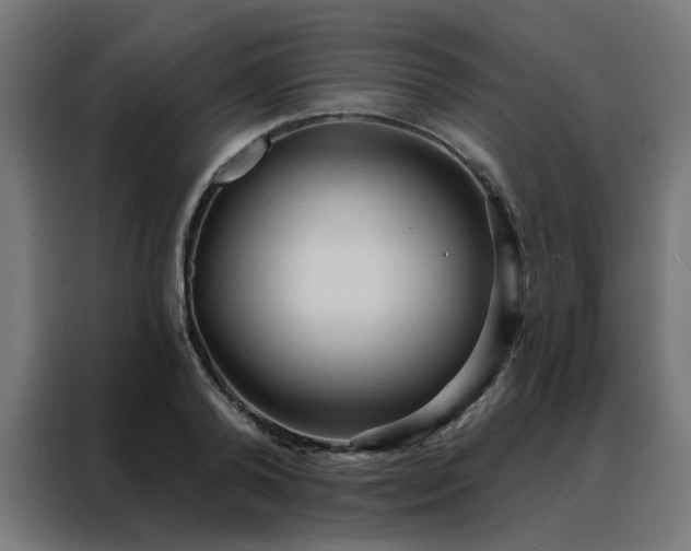 X0000088180792200705221641