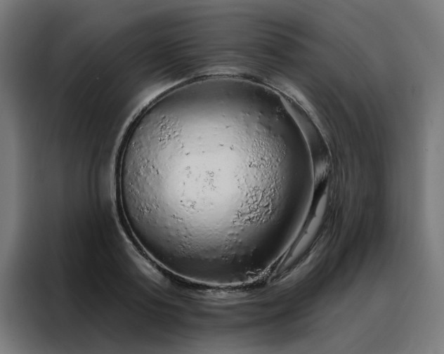 X0000088180795200705221641