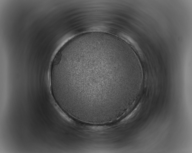 X0000088180796200705221641