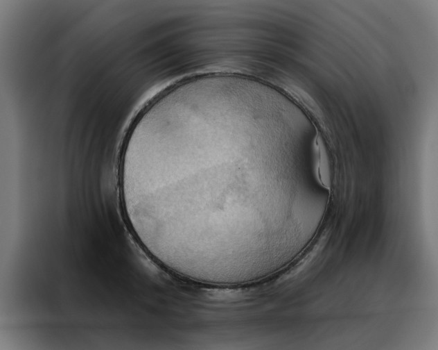 X0000088180800200705221641