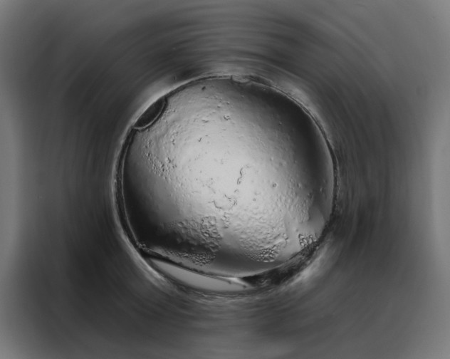 X0000088180803200705221641