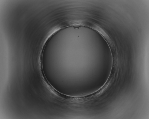 X0000088180806200705221641