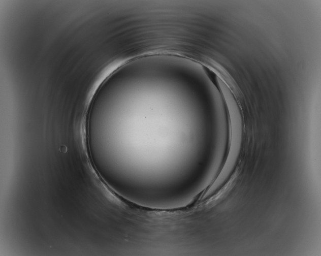 X0000088180812200705221641
