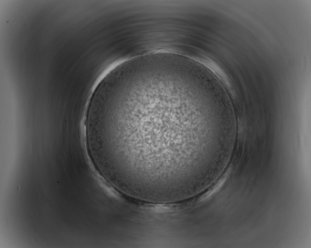 X0000088180814200705221641