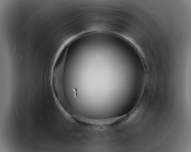 X0000088180815200705221641