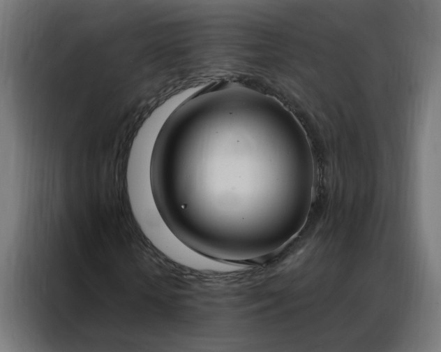 X0000088180818200705221640