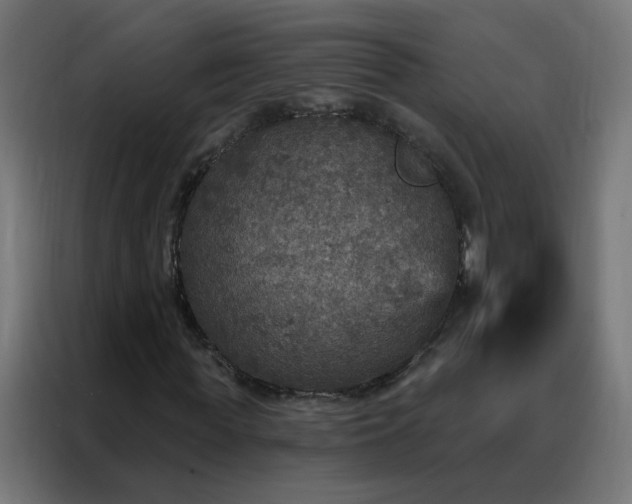 X0000088180819200705221640
