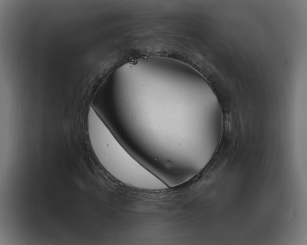 X0000088180820200705221640