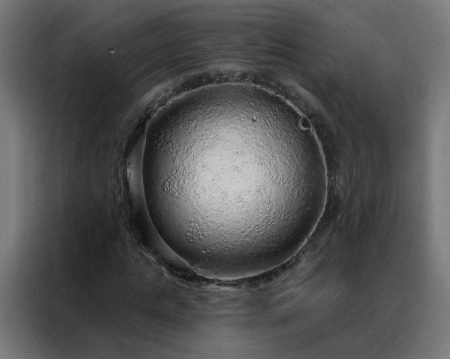 X0000088180821200705221640