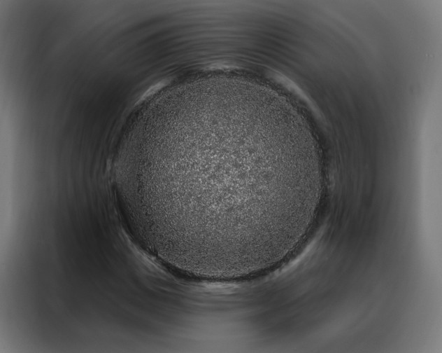 X0000088180825200705221640