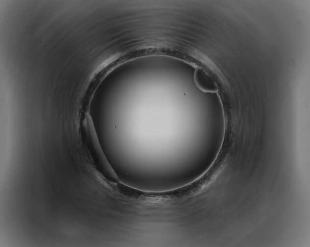 X0000088180826200705221640