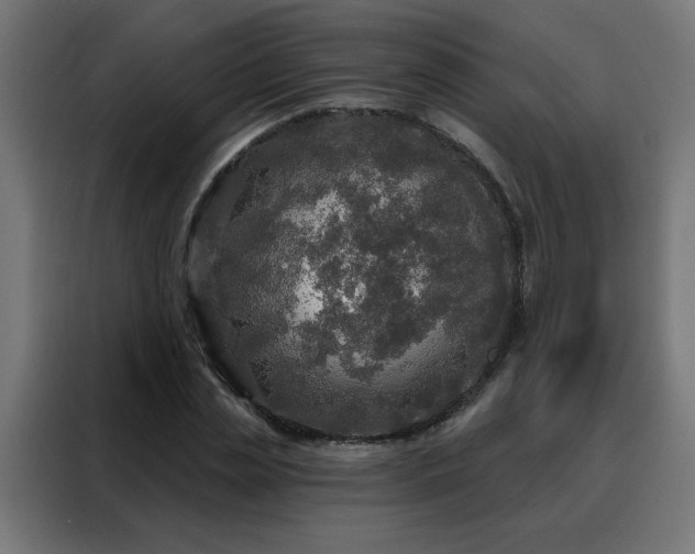 X0000088180829200705221640