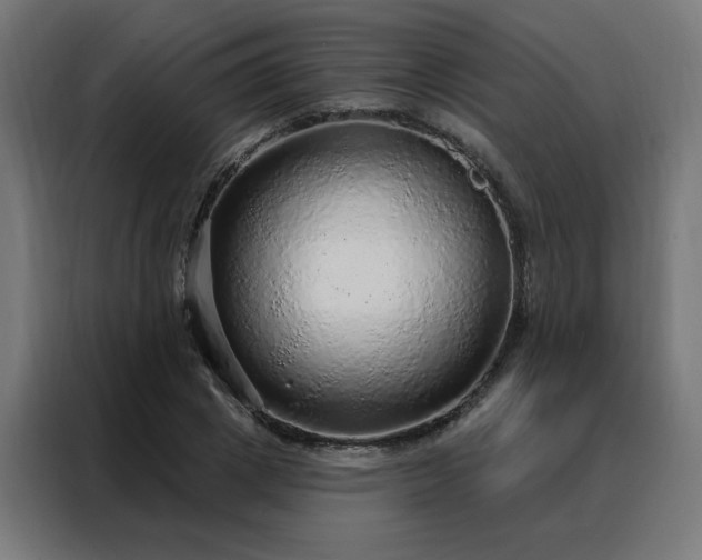 X0000088180833200705221640