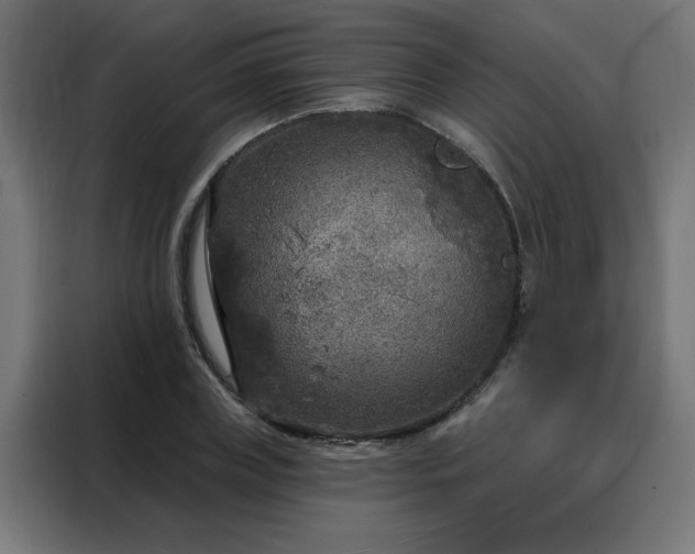 X0000088180835200705221640