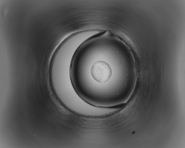 X0000088180836200705221640