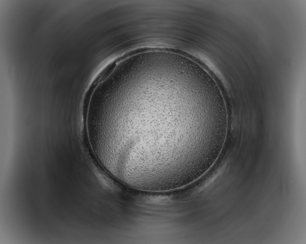 X0000088180837200705221640
