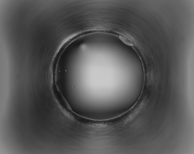 X0000088180838200705221640