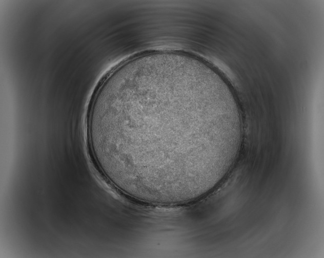 X0000088180840200705221641
