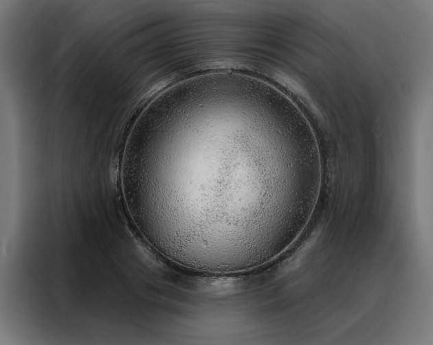 X0000088180841200705221641