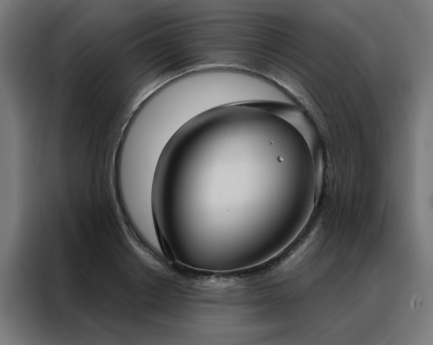 X0000088180842200705221641
