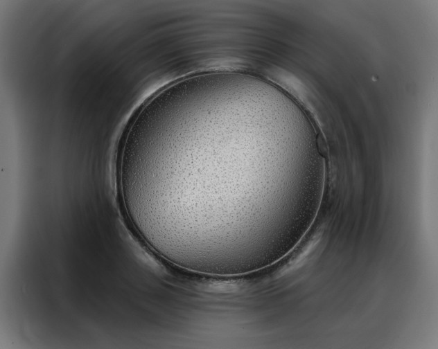 X0000088180843200705221641