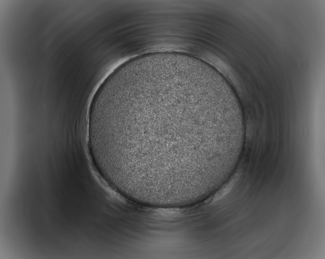 X0000088180844200705221641