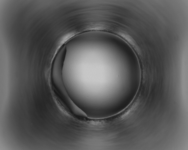 X0000088180850200705221641
