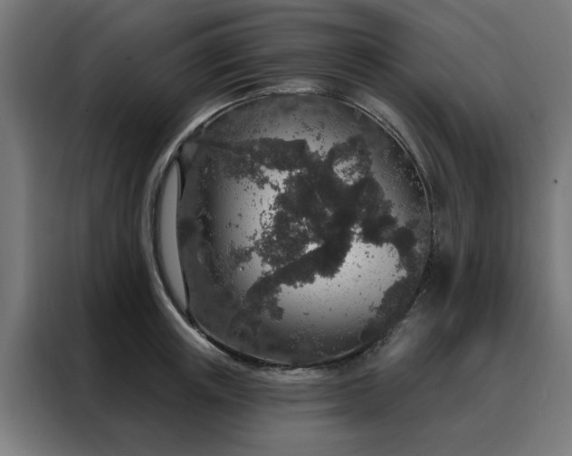 X0000088180851200705221641