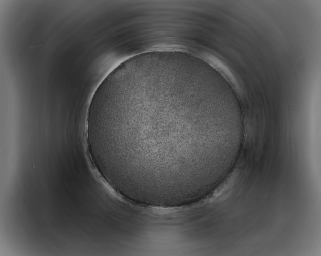 X0000088180852200705221641