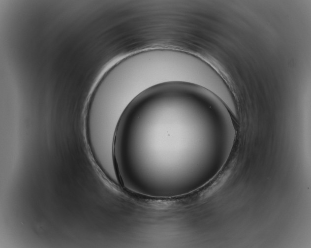 X0000088180854200705221641