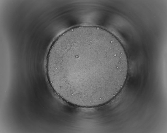 X0000088180856200705221641