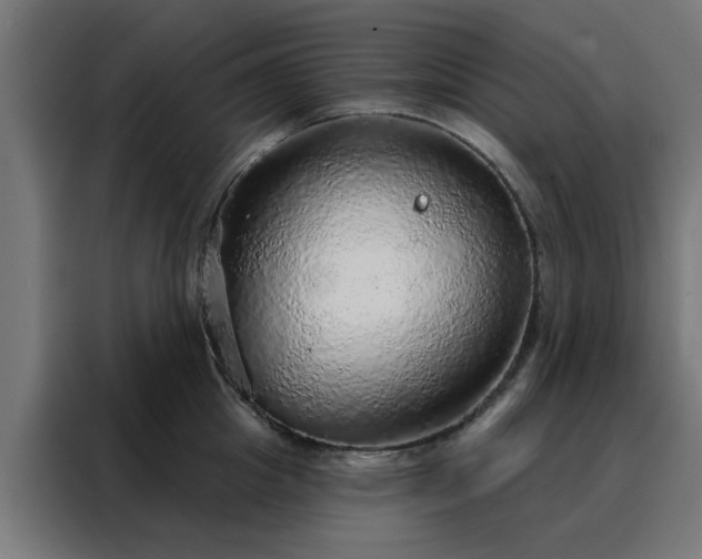 X0000088180857200705221641