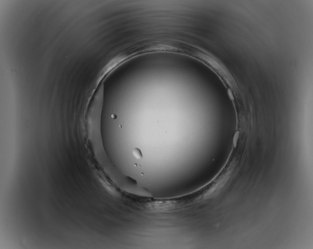 X0000088180858200705221641