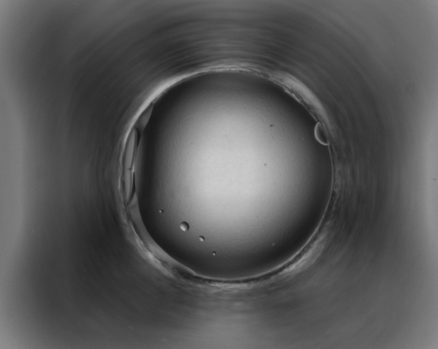 X0000088180860200705221641
