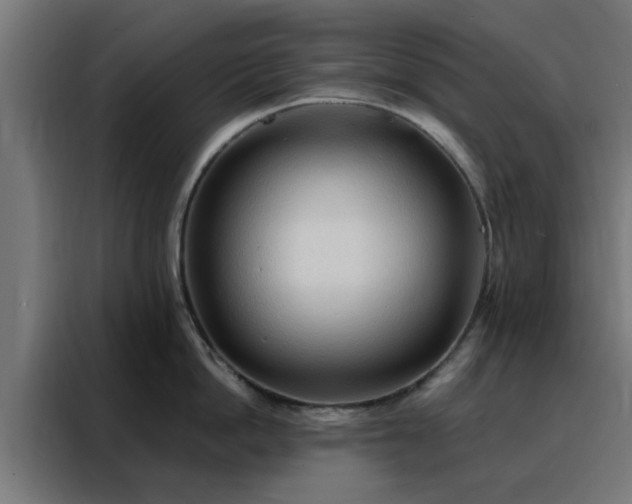 X0000088180862200705221641