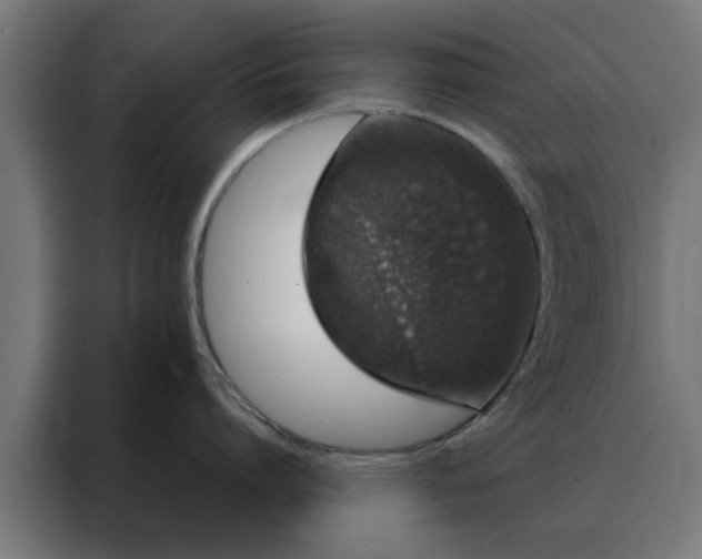 X0000088180864200705221641