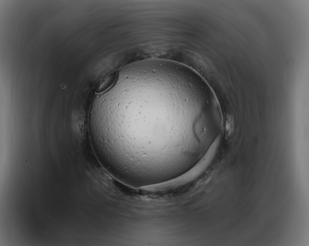 X0000088180867200705221640