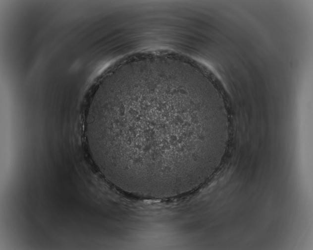 X0000088180871200705221640